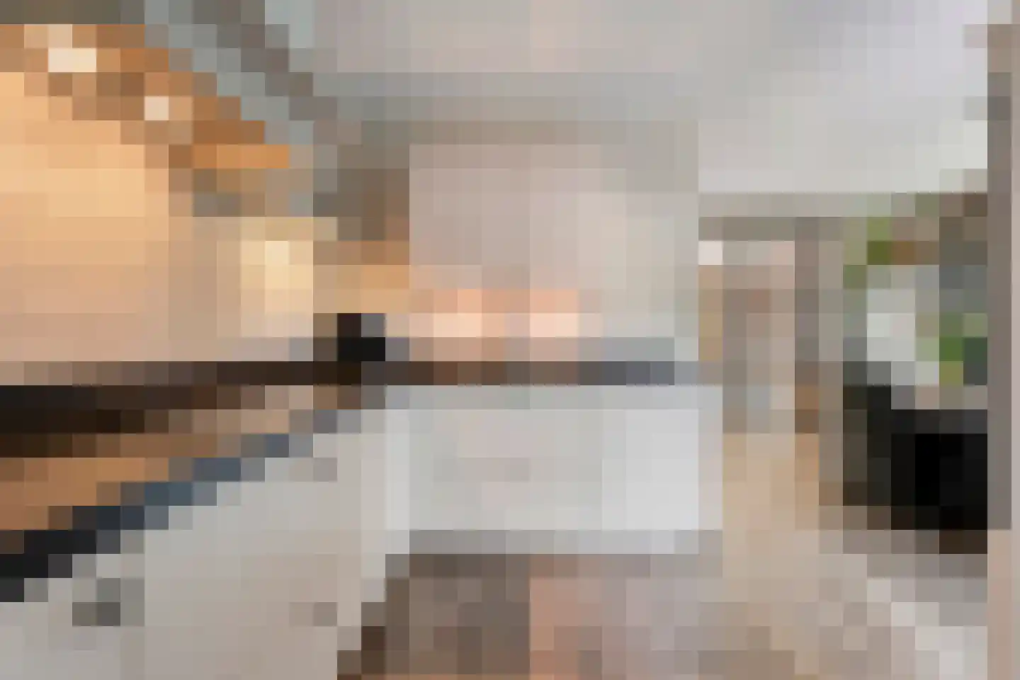 De Geurne 1 Gramsbergen thumbnail 5
