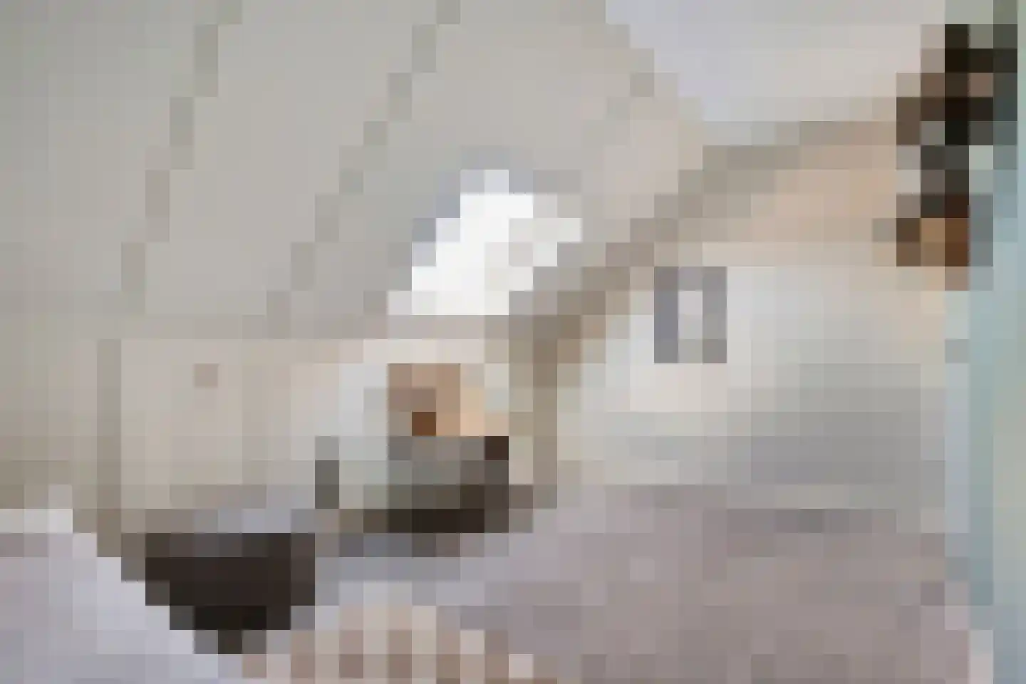 De Geurne 1 Gramsbergen thumbnail 55
