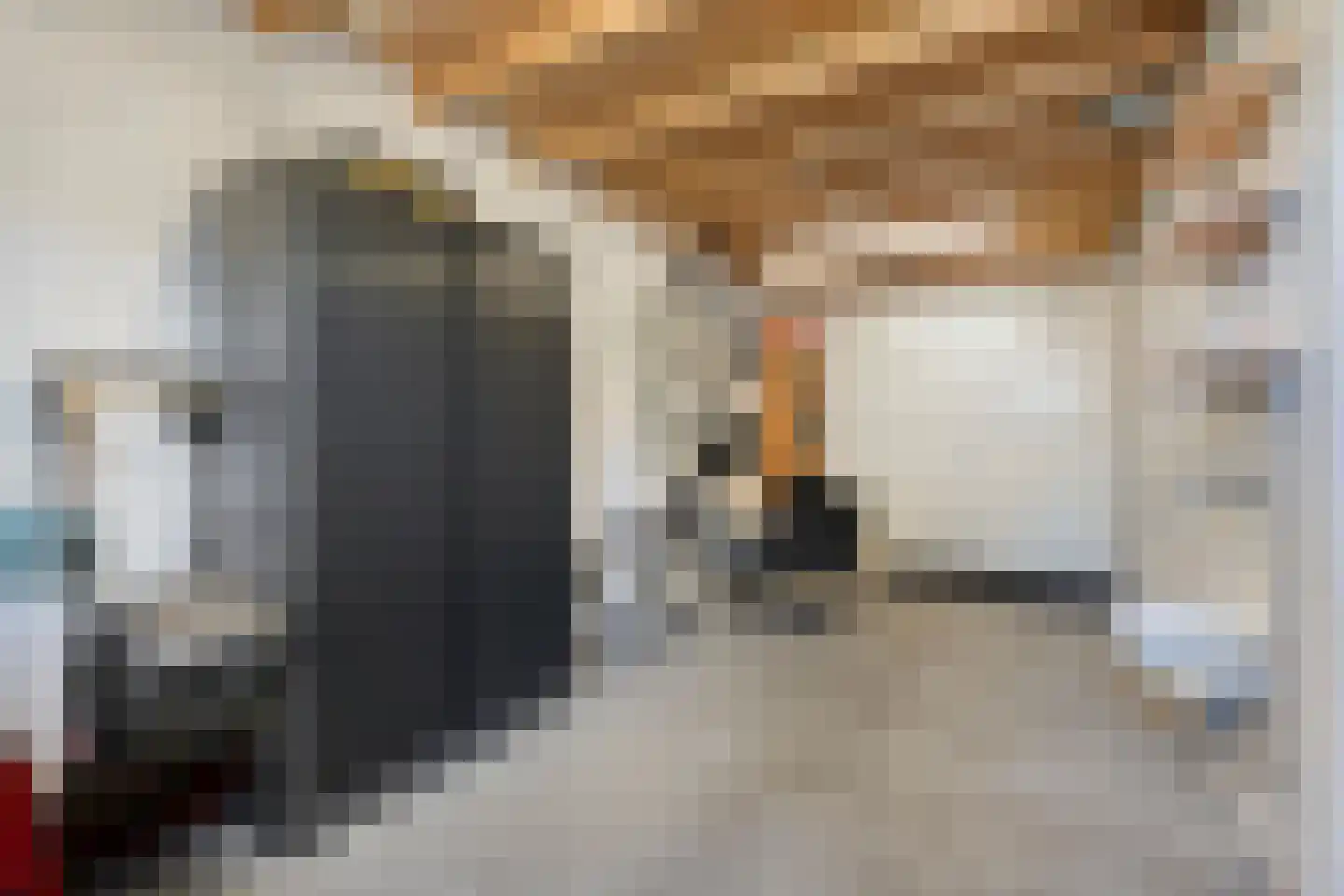 De Geurne 1 Gramsbergen thumbnail 59