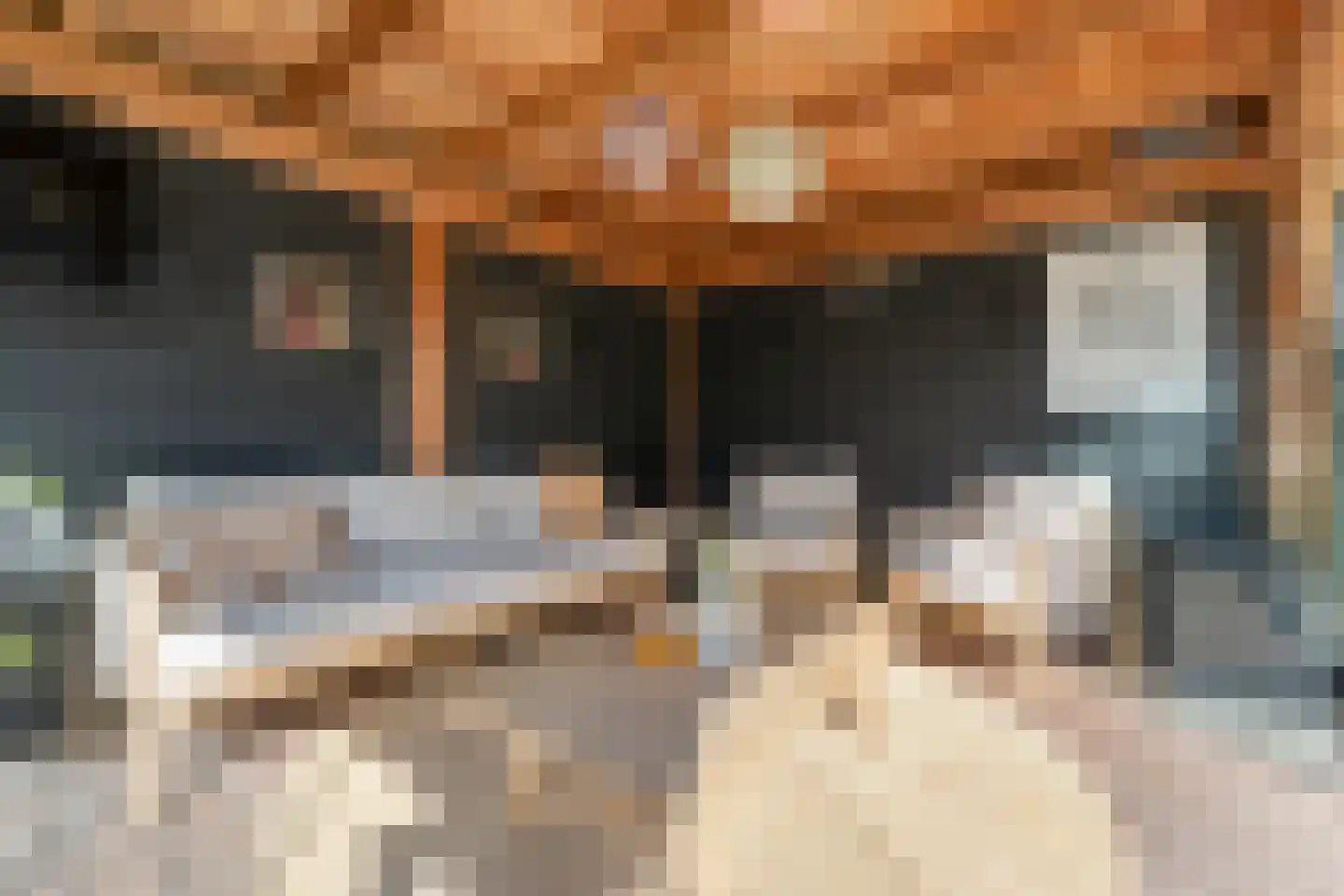 De Geurne 1 Gramsbergen thumbnail 69
