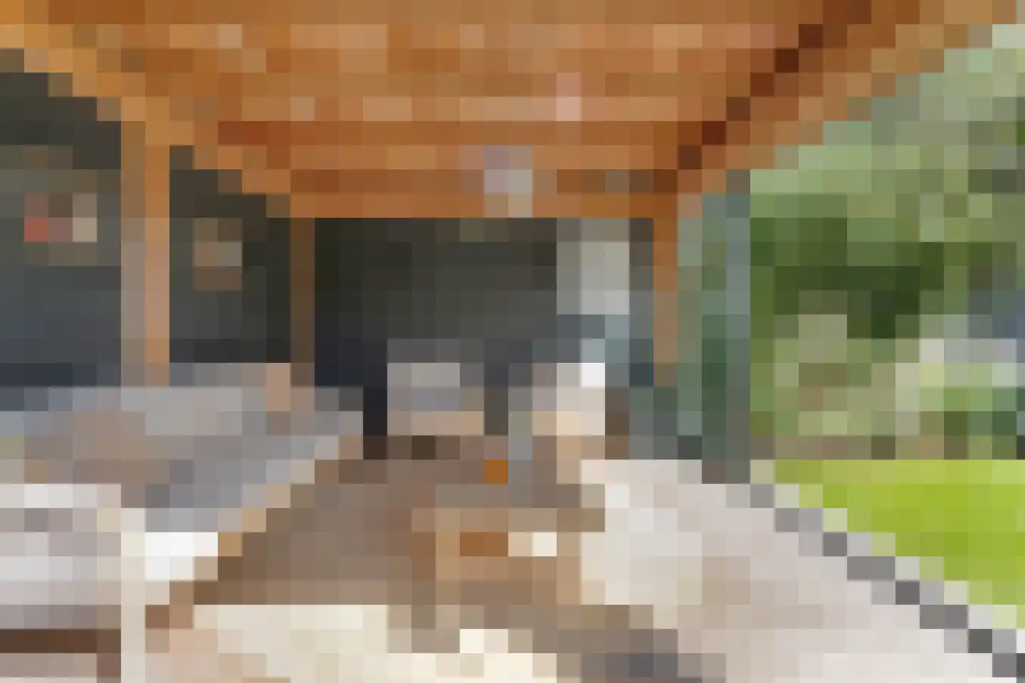 De Geurne 1 Gramsbergen thumbnail 71