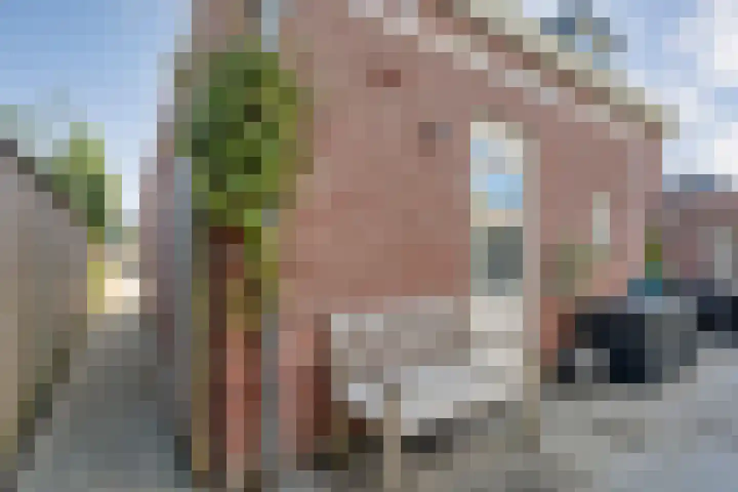 De Geurne 1 Gramsbergen thumbnail 72