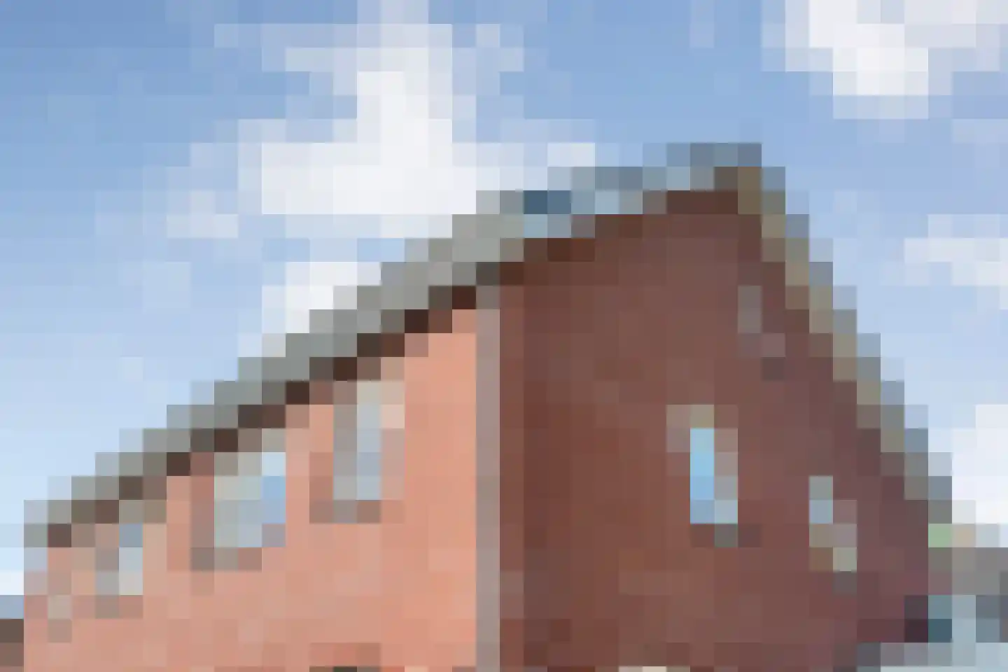 De Geurne 1 Gramsbergen thumbnail 73