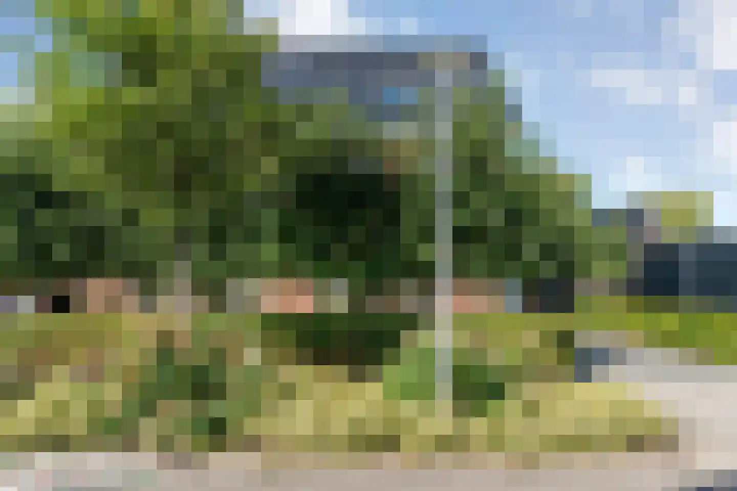 De Geurne 1 Gramsbergen thumbnail 74