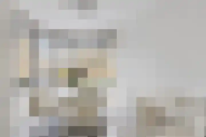 De Gewanten 11 Arnhem thumbnail 11