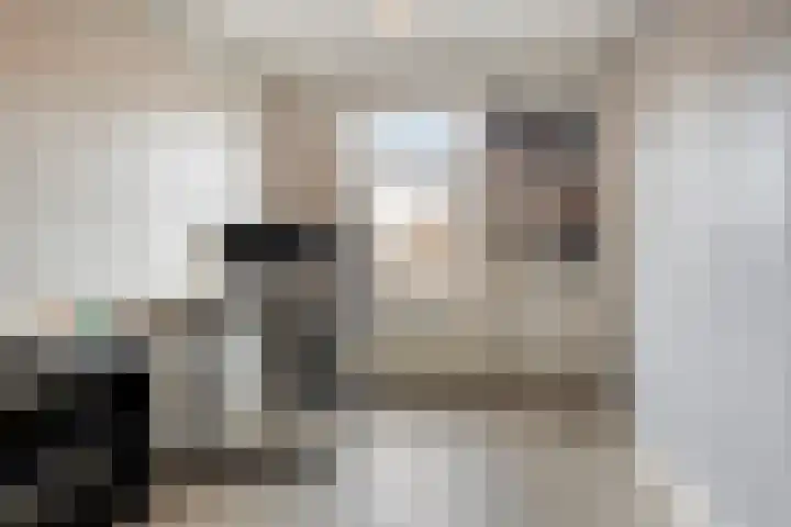 De Gewanten 11 Arnhem thumbnail 12