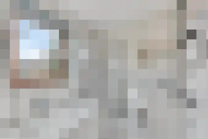 De Gewanten 11 Arnhem thumbnail 18