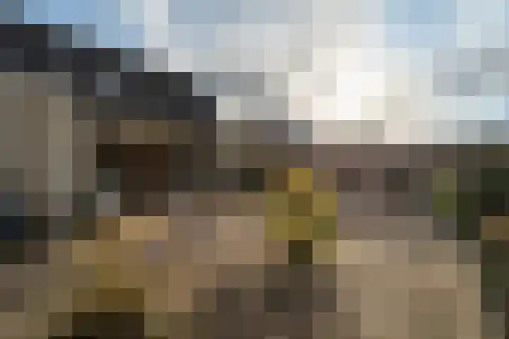 De Gewanten 11 Arnhem thumbnail 26