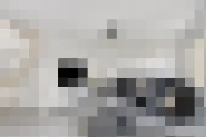 De Gewanten 11 Arnhem thumbnail 4