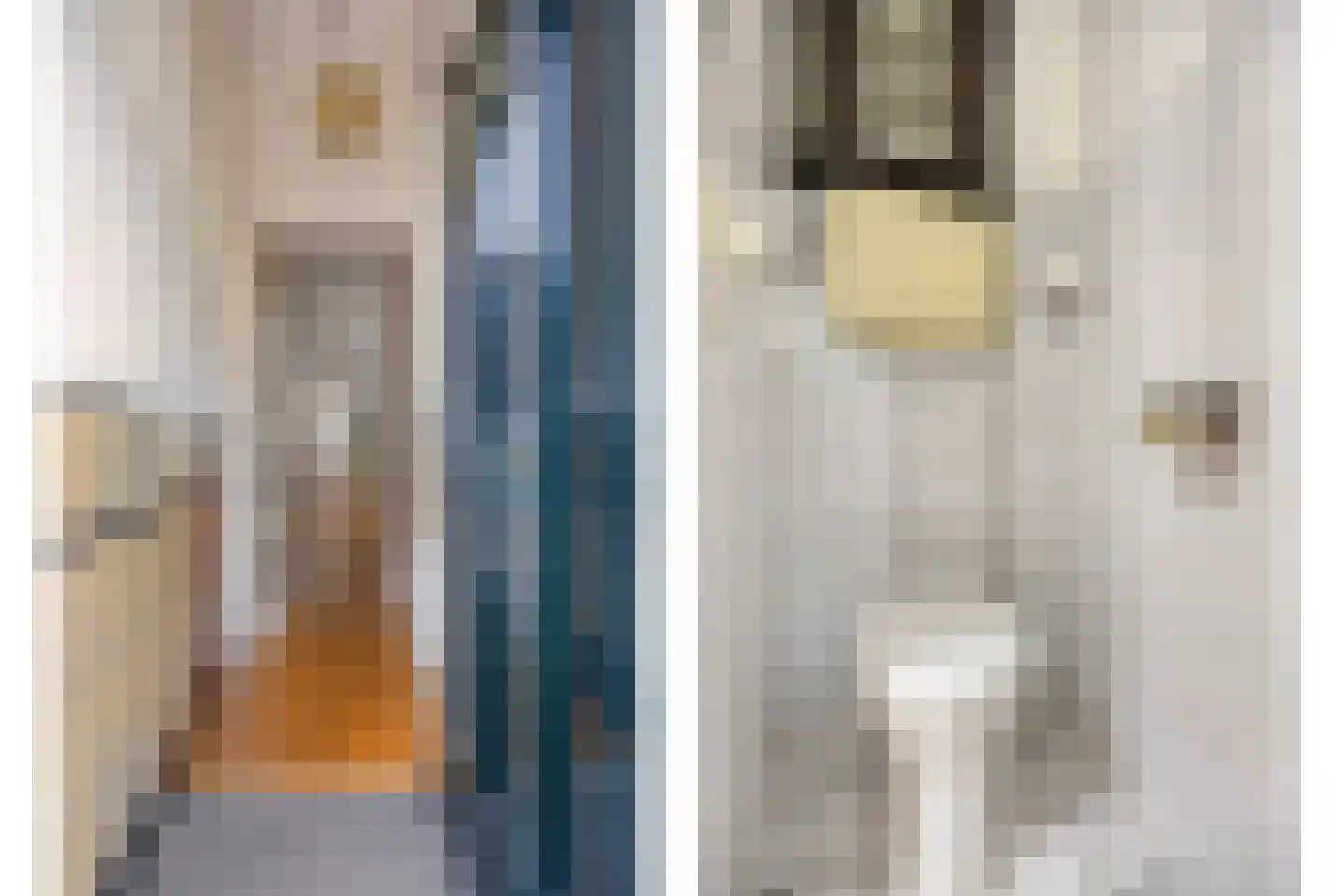 De Gheijnstraat 34 Den Haag thumbnail 21