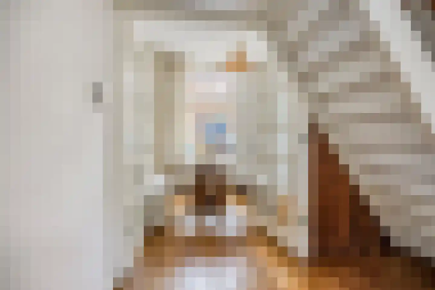 De Gheijnstraat 34 Den Haag thumbnail 5