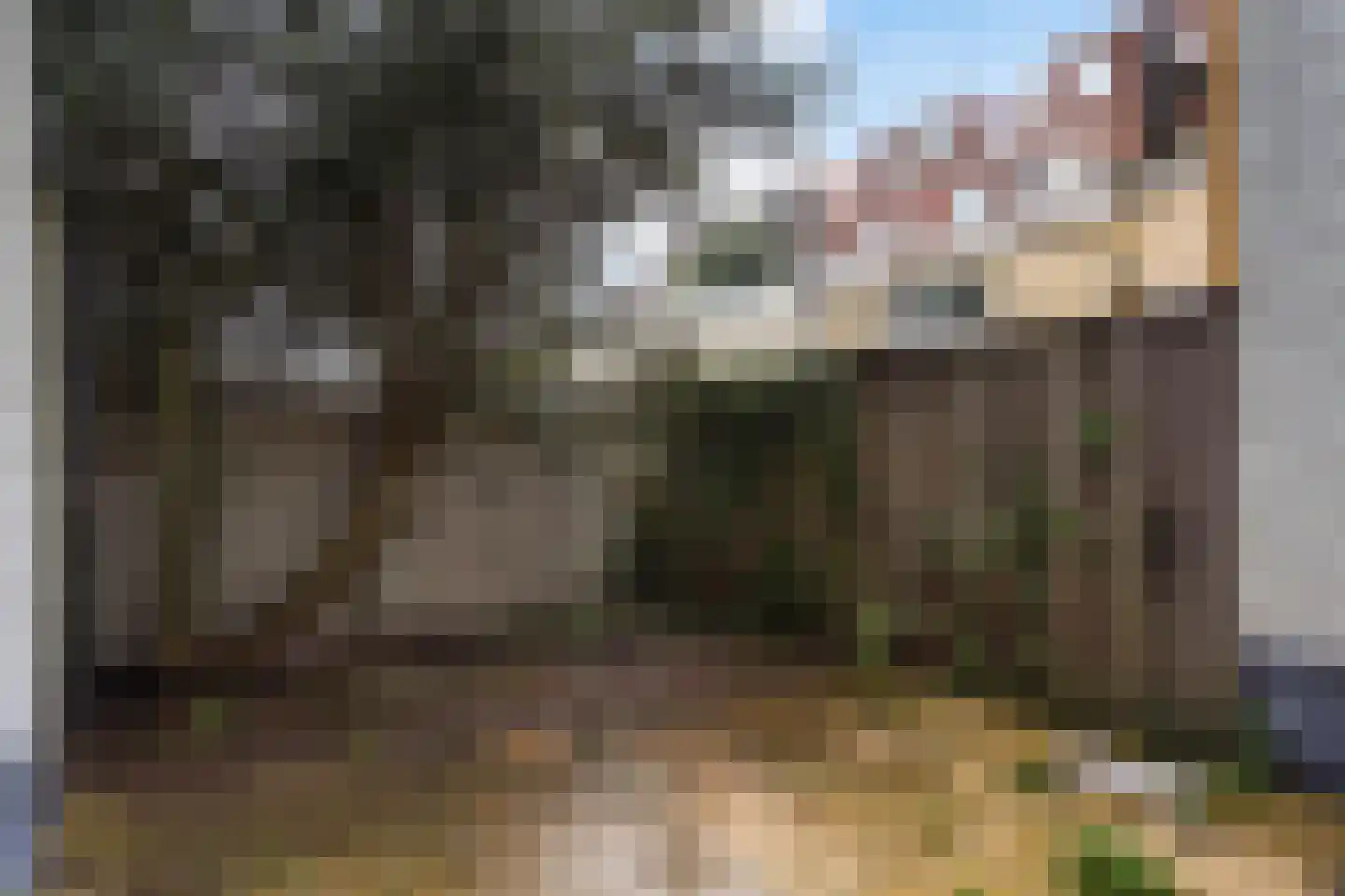 De Gheijnstraat 80 Den Haag thumbnail 20