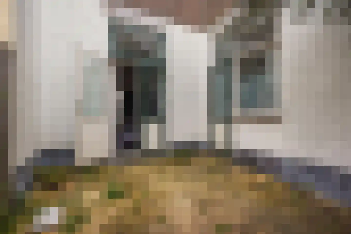 De Gheijnstraat 80 Den Haag thumbnail 21