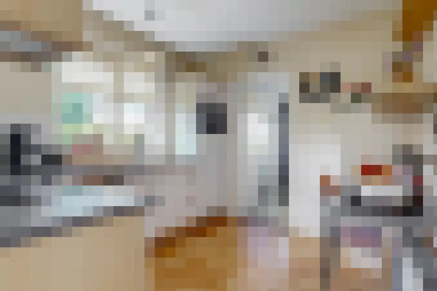 De Giek 31 Urk thumbnail 13