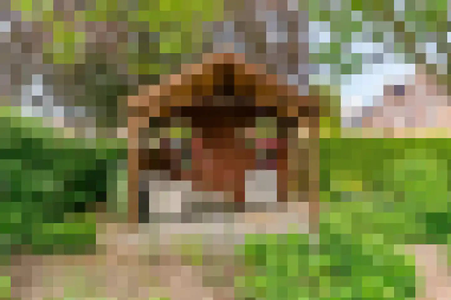 De Giek 31 Urk thumbnail 29