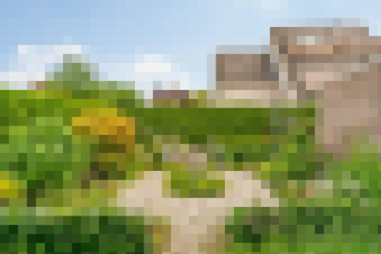 De Giek 31 Urk thumbnail 30