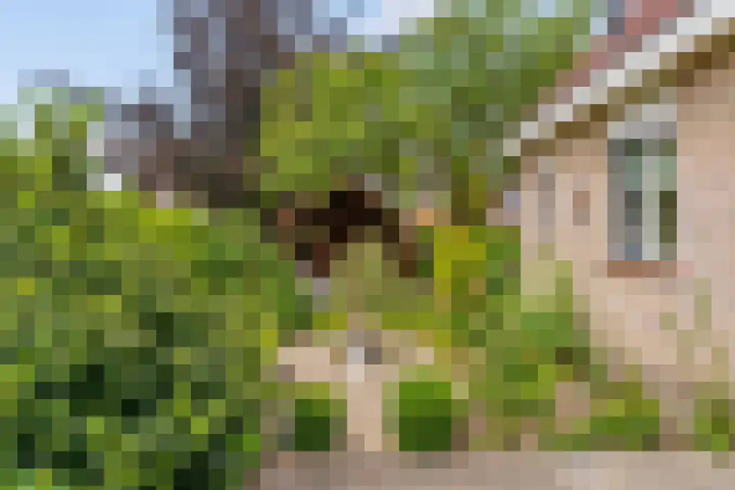 De Giek 31 Urk thumbnail 33