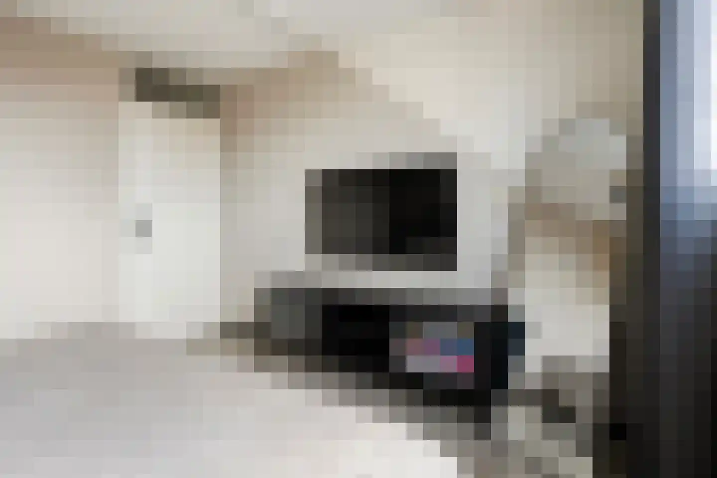 De Gieteling 1 Almelo thumbnail 21
