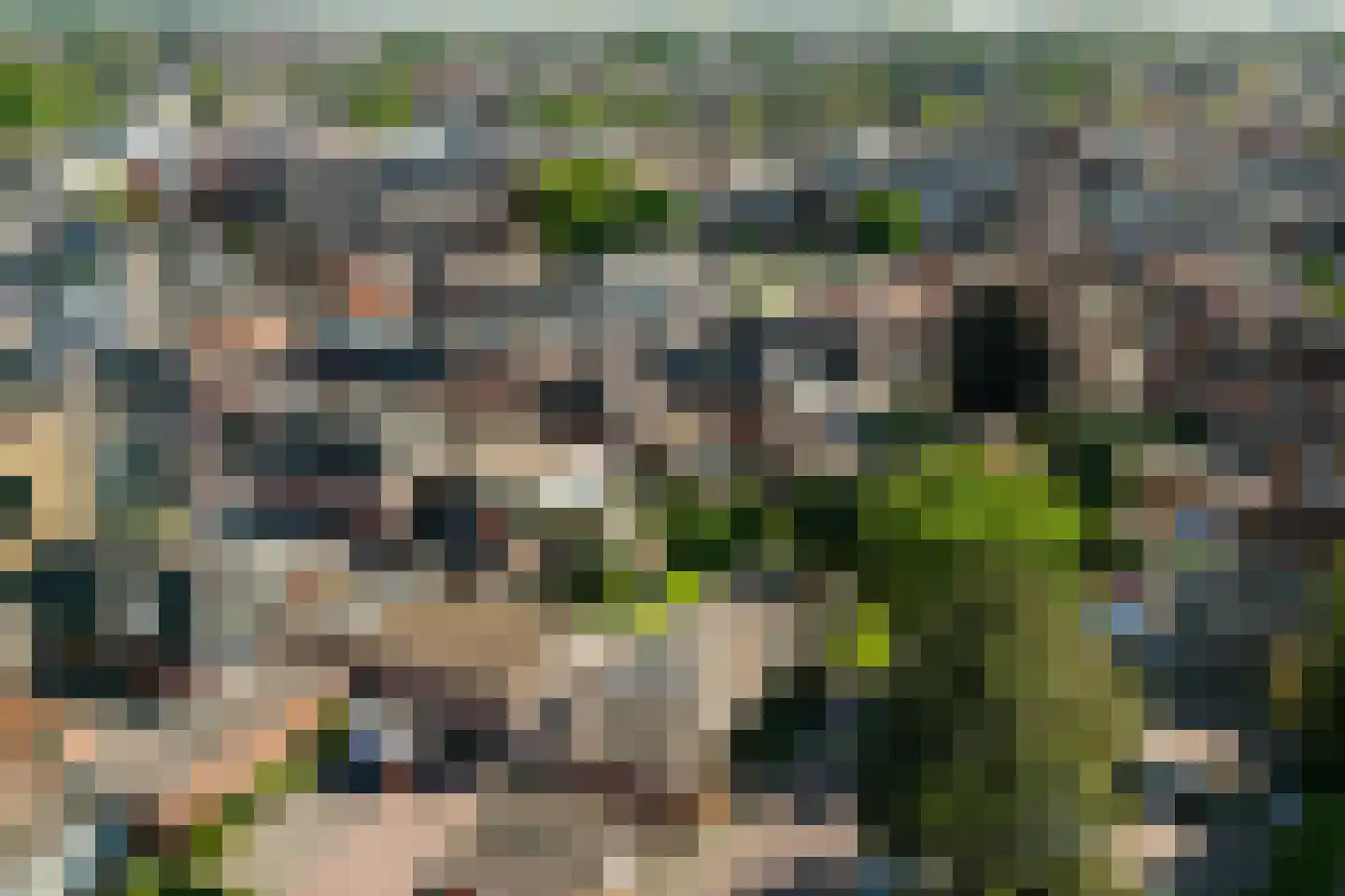 De Giezen 16 Rijssen thumbnail 46