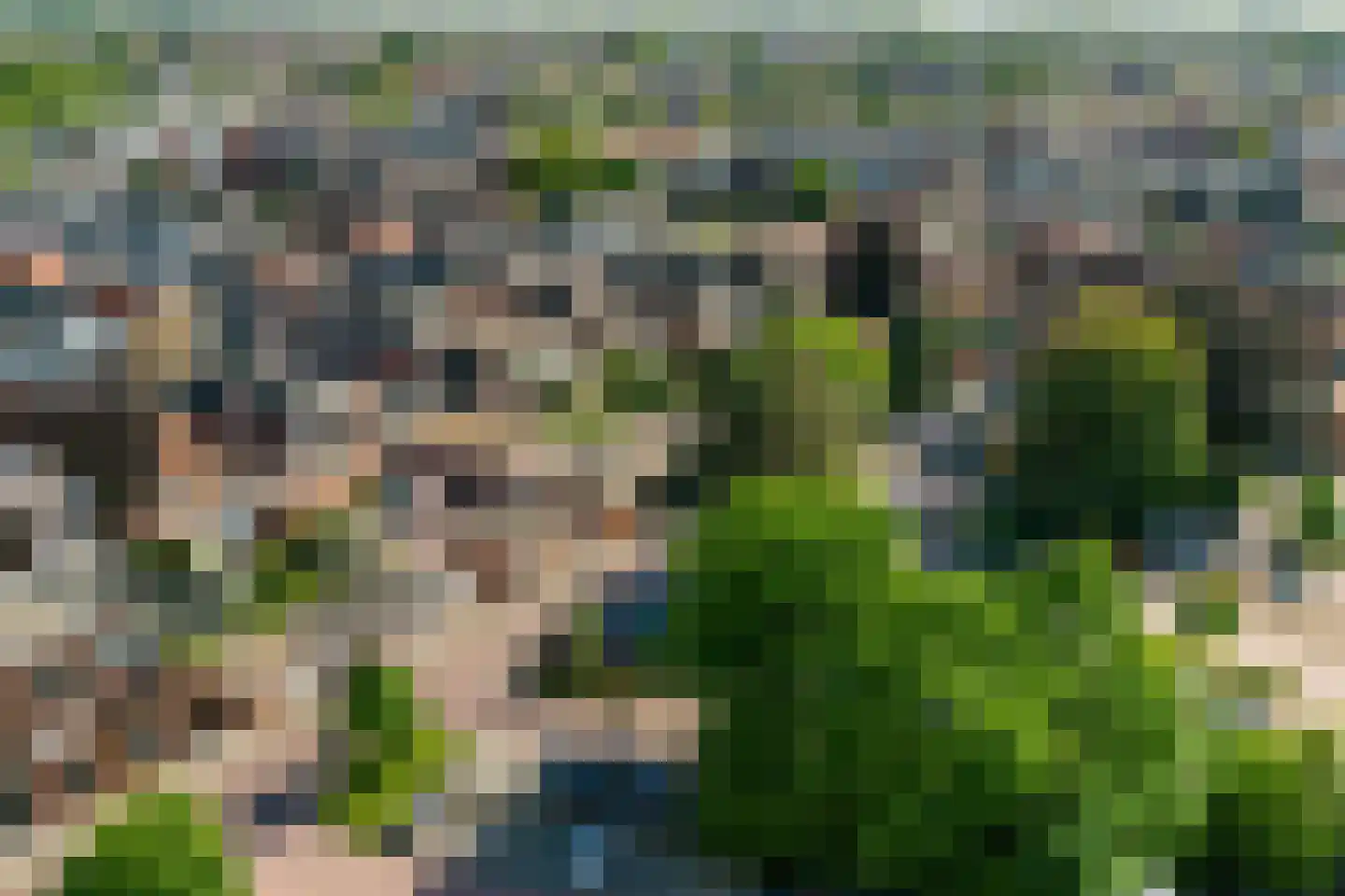 De Giezen 16 Rijssen thumbnail 47