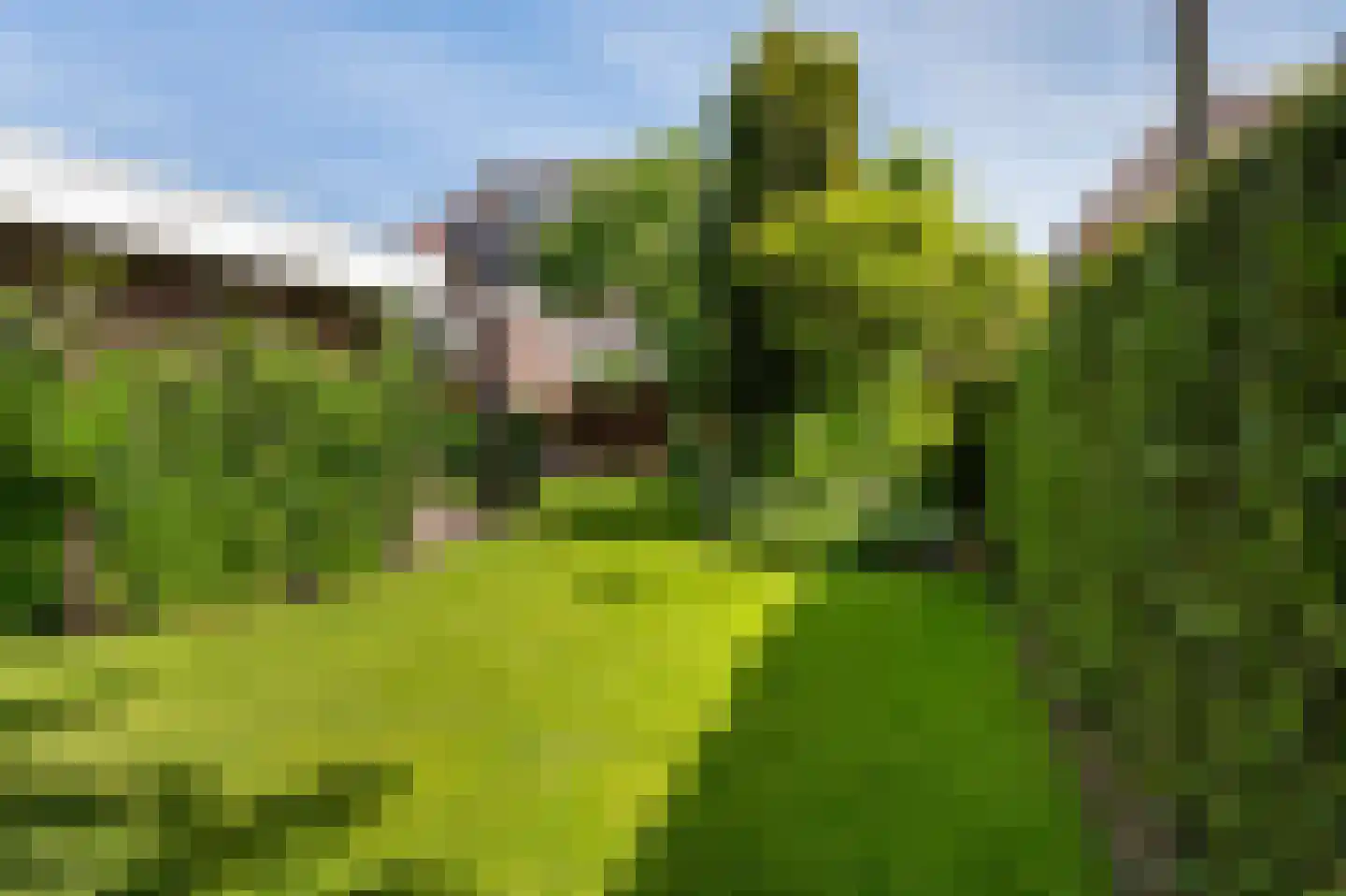 De Giezen 16 Rijssen thumbnail 8