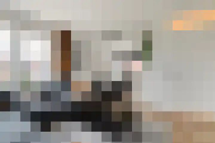 De Giezen 34 205 Rijssen thumbnail 12