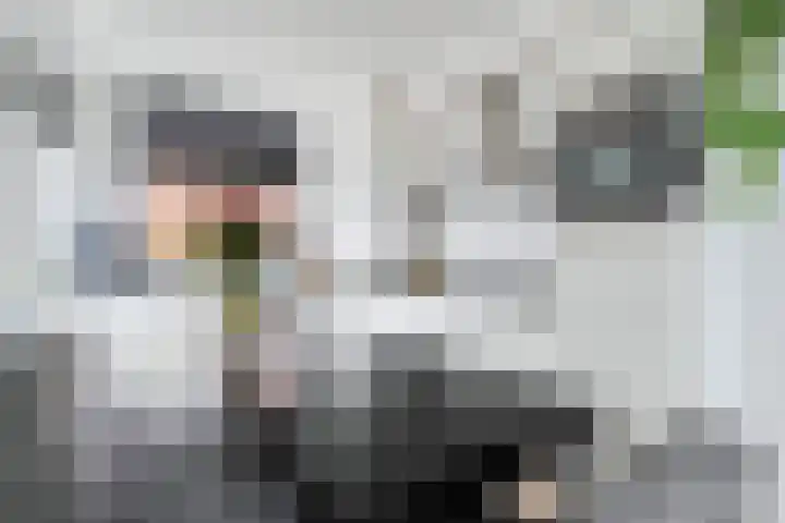 De Giezen 34 205 Rijssen thumbnail 19