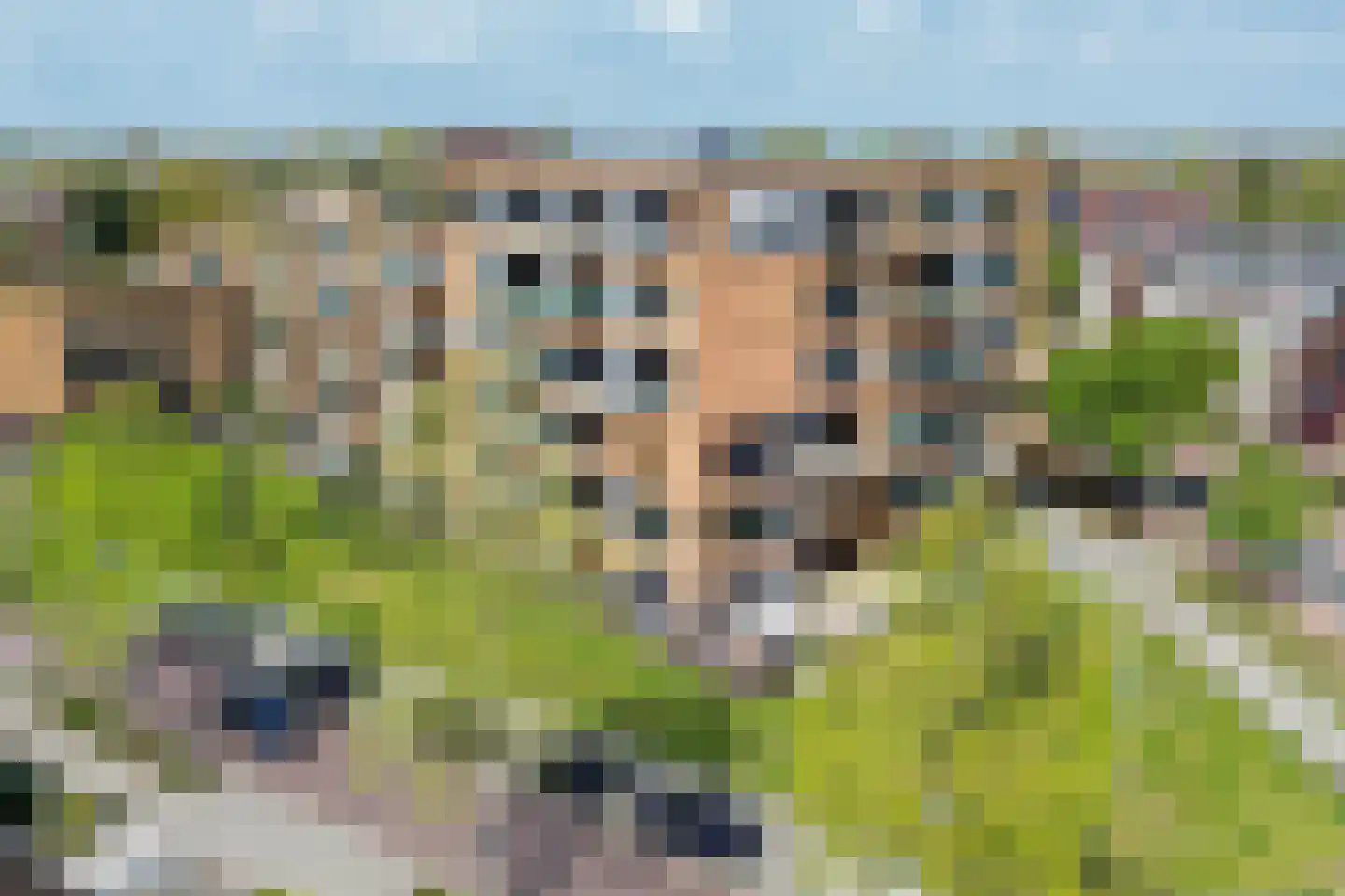 De Gijrath 11 Valkenswaard thumbnail 59