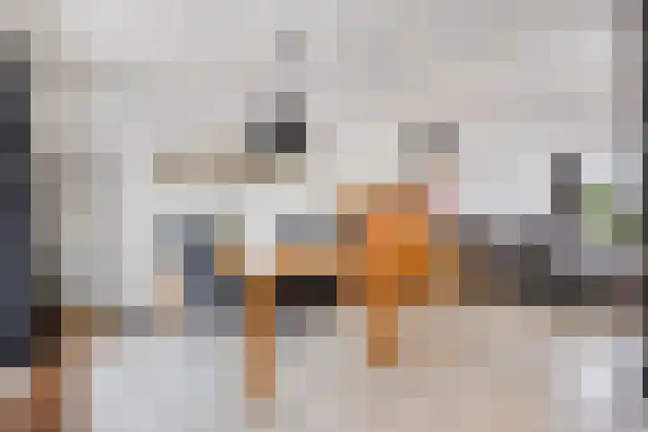 De Gijster 27 Made thumbnail 12
