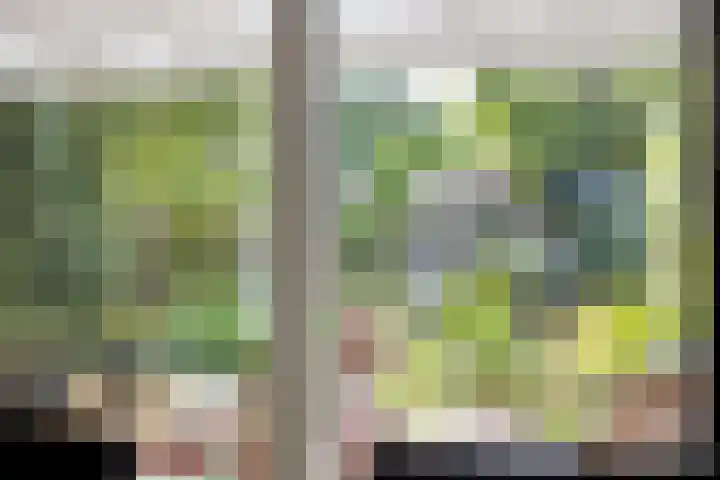 De Gijster 27 Made thumbnail 16