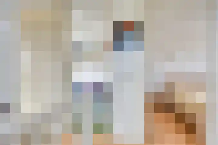 De Gijster 27 Made thumbnail 18