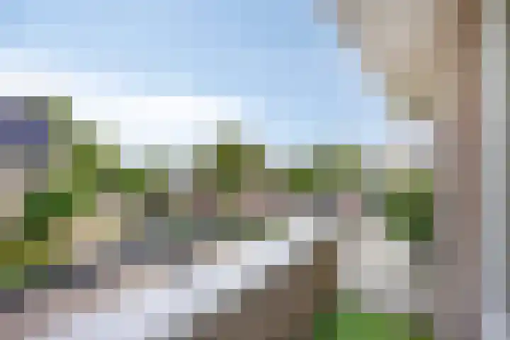 De Gijster 27 Made thumbnail 21