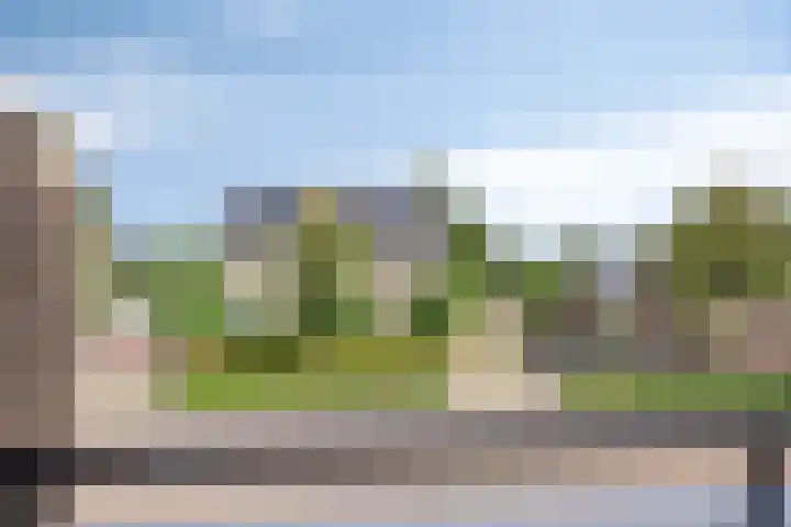 De Gijster 27 Made thumbnail 22