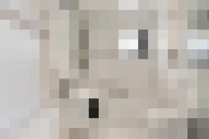 De Gijster 27 Made thumbnail 23
