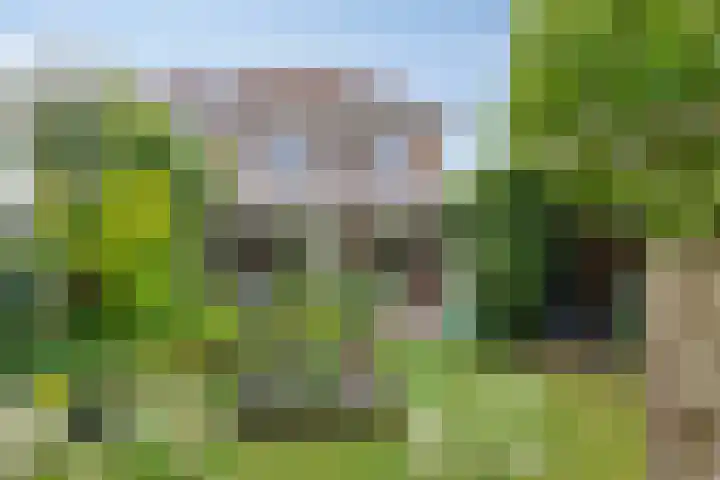 De Gijster 27 Made thumbnail 32