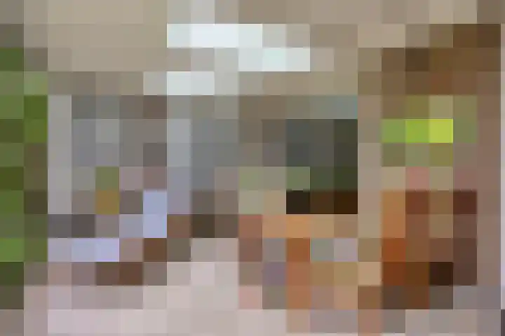 De Gijster 27 Made thumbnail 33