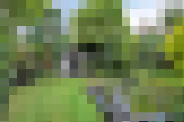 De Gijster 27 Made thumbnail 34