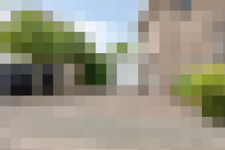 De Gijster 27 Made thumbnail 35