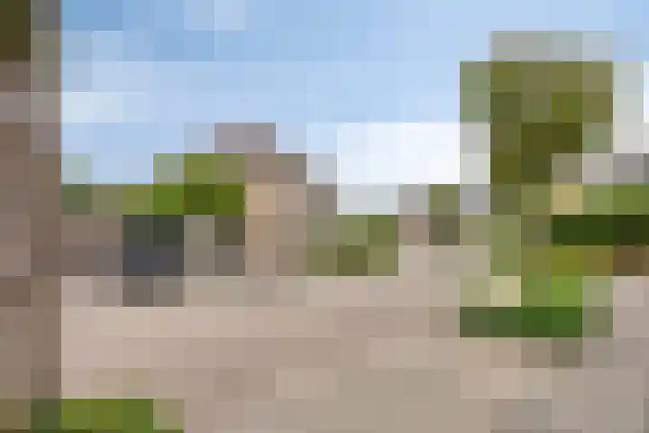 De Gijster 27 Made thumbnail 38