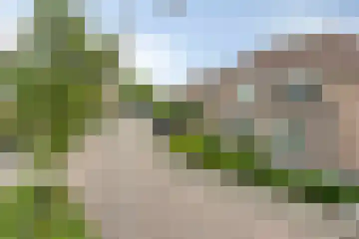 De Gijster 27 Made thumbnail 39