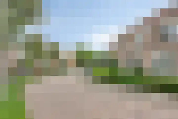 De Gijster 27 Made thumbnail 5