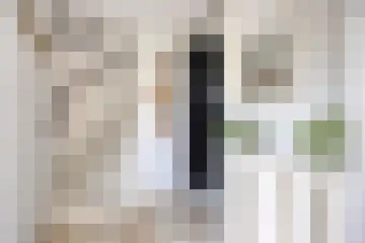 De Gijster 27 Made thumbnail 6
