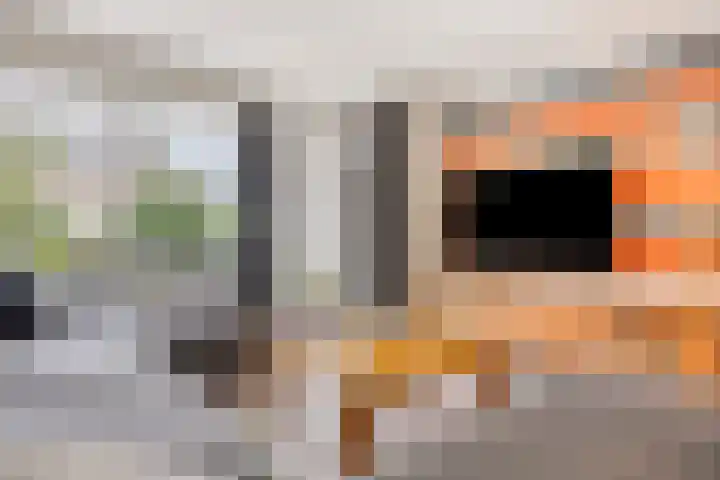 De Gijster 27 Made thumbnail 8