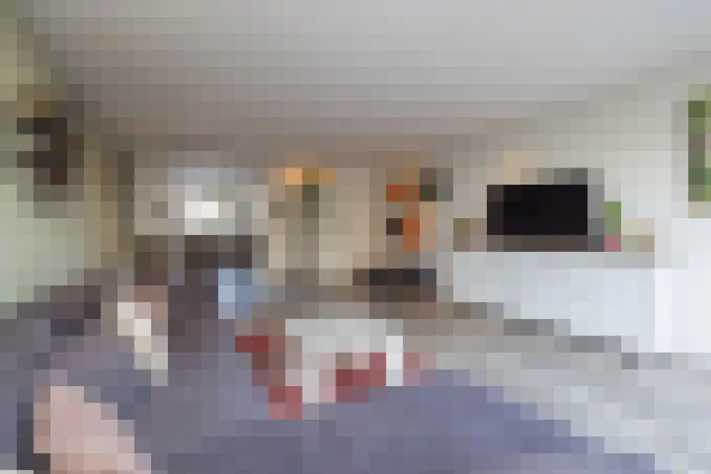 De Gijster 28 Made