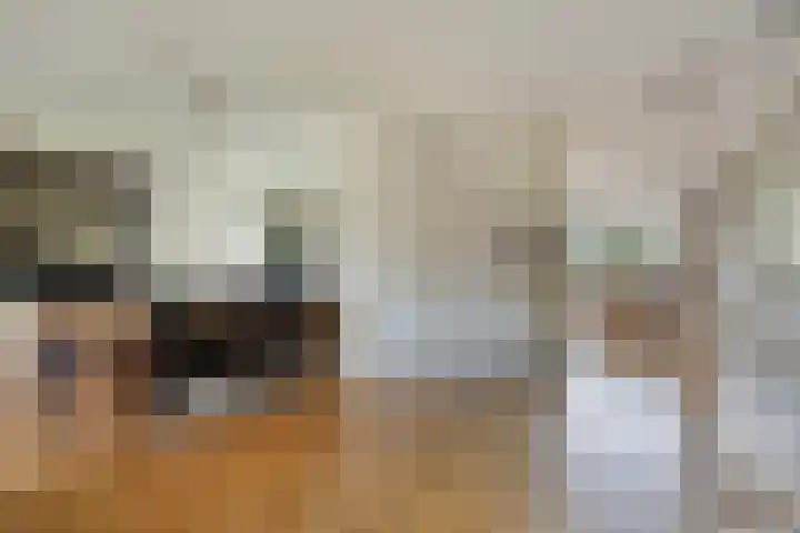 De Gijster 28 Made thumbnail 11