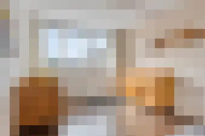 De Gijster 28 Made thumbnail 22