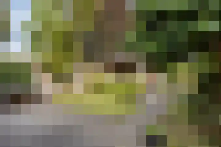 De Gijster 28 Made thumbnail 31