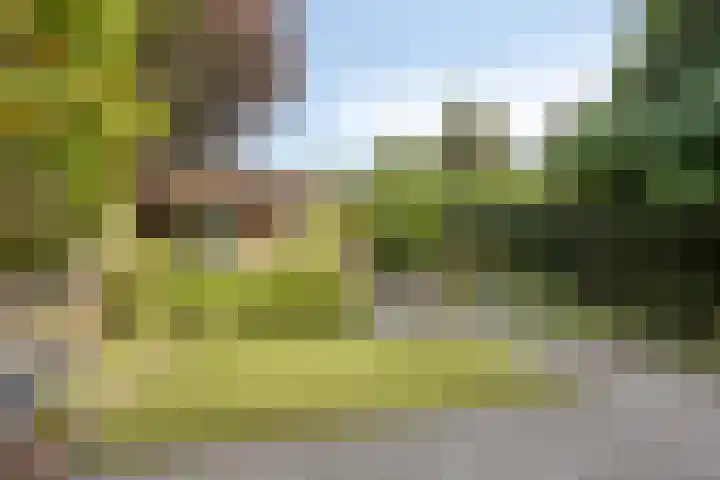De Gijster 28 Made thumbnail 32