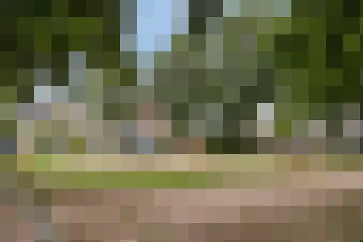 De Gijster 28 Made thumbnail 37