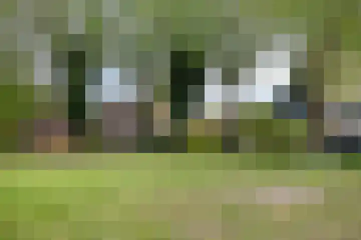 De Gijster 28 Made thumbnail 38